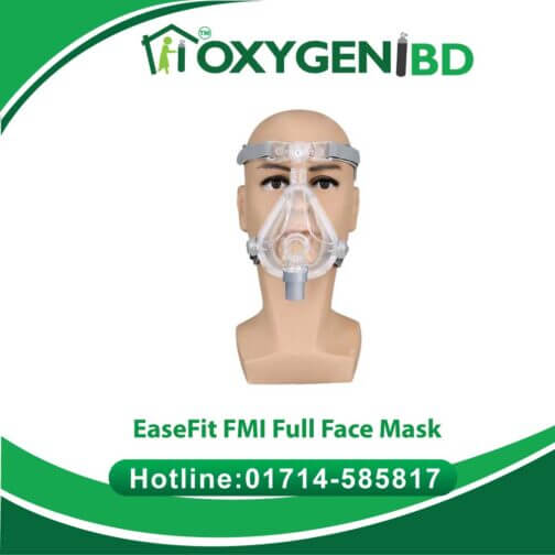 EaseFit FMI Full Face Mask