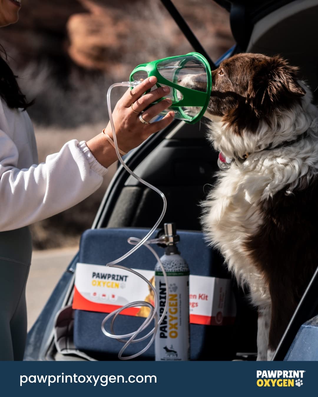 Portable Oxygen Mask Price in Bangladesh