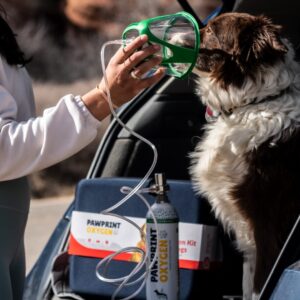 Portable Oxygen Mask Price in Bangladesh